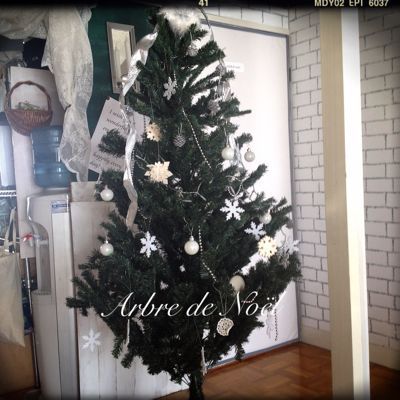 【クリスマスツリー】_d0204646_1182396.jpg