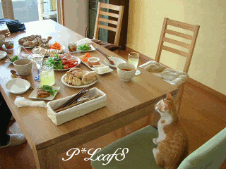 c0176651_1418524.gif