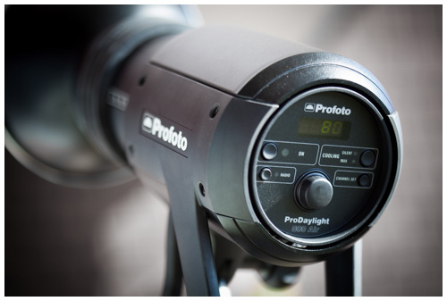 新HMI照明 Profoto ProDaylight 800 Air : エクランの撮影日記 新HMI照明 Profoto ProDaylight 800 Air : エクランの撮影日記