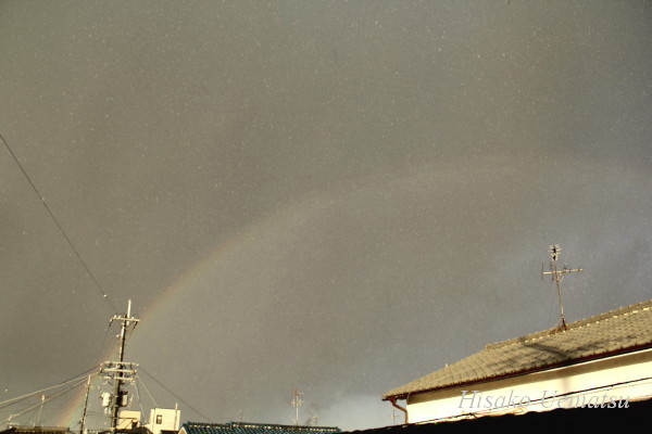 c0121953_19532539.jpg