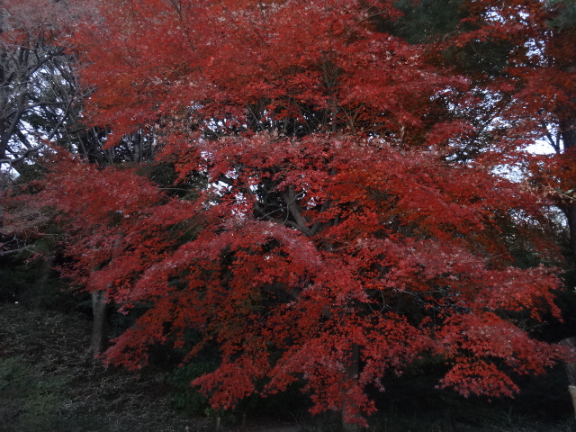 f0036857_20434997.jpg