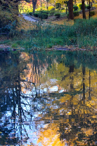 a0248459_19263627.jpg