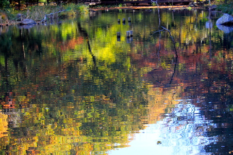 a0248459_19291242.jpg
