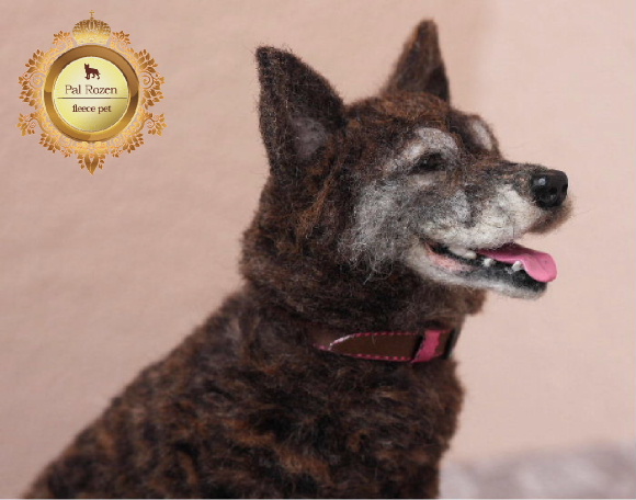 1311061】MIX（甲斐×柴犬）赤虎ちゃん : Pal Rozen 作品集