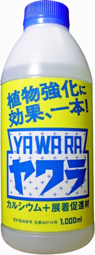 これからの低温に注意してください。_b0164360_1559254.jpg