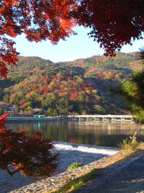 嵐山の紅葉 20131129_c0157164_9354965.jpg