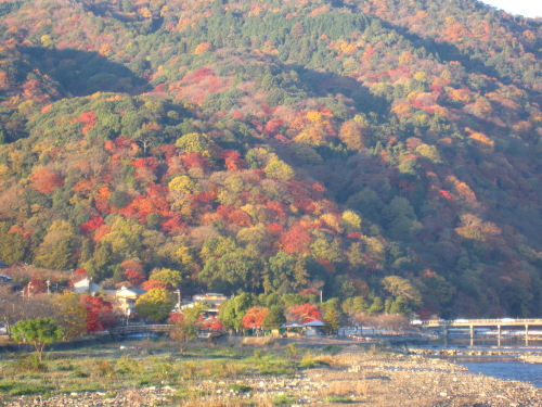 嵐山の紅葉 20131129_c0157164_9361684.jpg