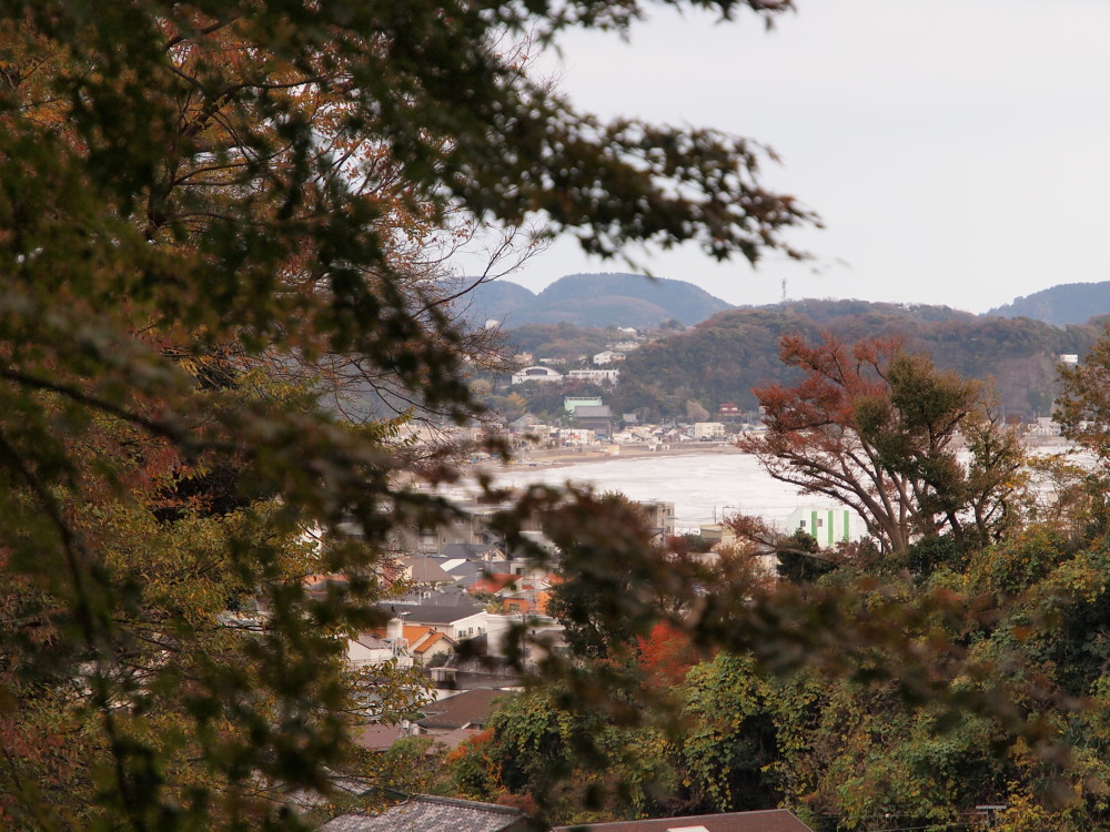 鎌倉散歩　その1鎌倉大仏と光則寺_a0073065_7373454.jpg