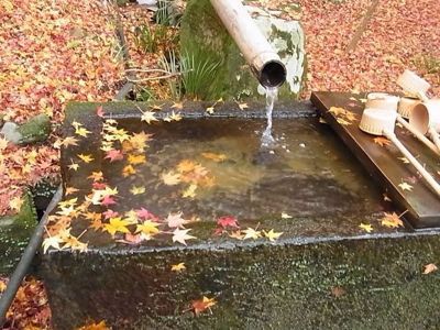 大威徳寺2~お地蔵さんともみじ~_e0136066_2133553.jpg