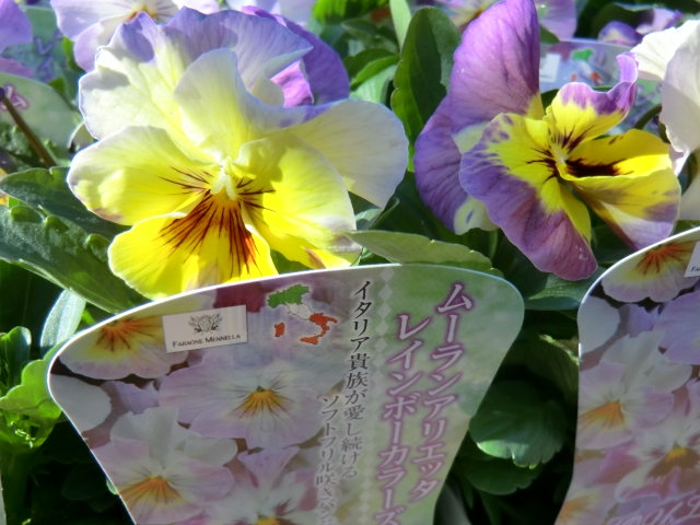 a0134568_12282294.jpg