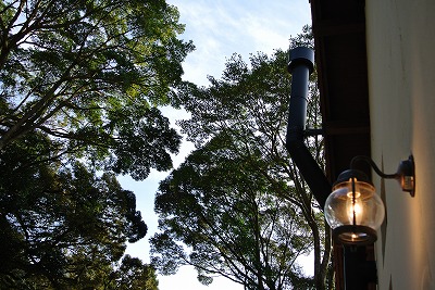 募集 11月30(土)12月4(水)_d0240469_6155950.jpg