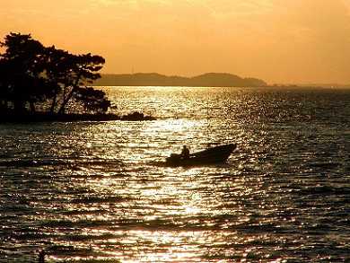 a0267370_2011451.jpg