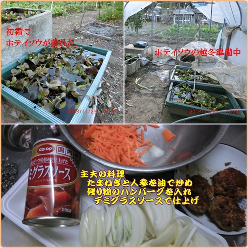 d0007071_22125226.jpg