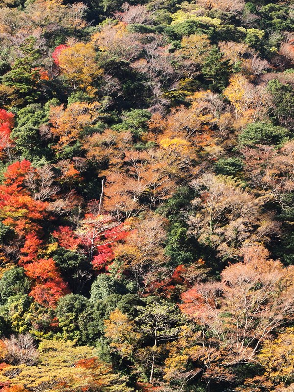 b0135573_17291273.jpg