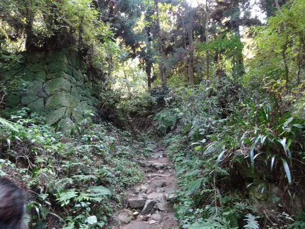c0066176_09134.jpg