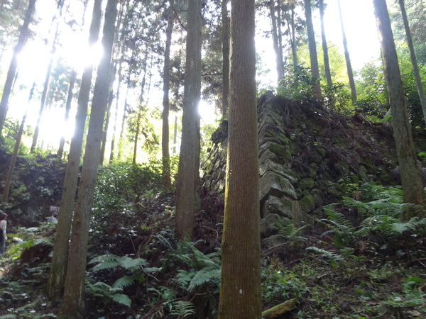 c0066176_09508.jpg