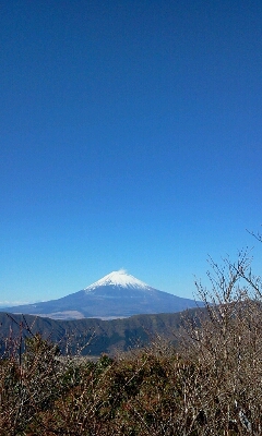 a0108380_175328.jpg