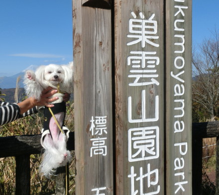 ロクちゃんママさんとの旅　そのに_b0193480_10315041.jpg