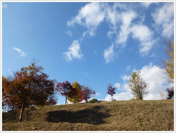 大分の紅葉もそろそろ終わりです_b0175688_19481394.jpg