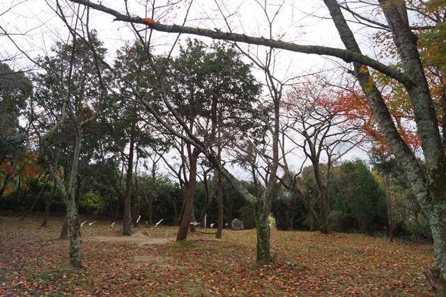 頑張れ気仙沼震災遺構解体、震災からの復興希望ある気仙沼造り、気仙沼復興せず三陸復興はない頑張れ気仙沼_d0181492_23391427.jpg