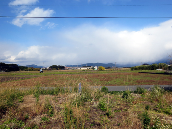 d0122194_1935269.jpg