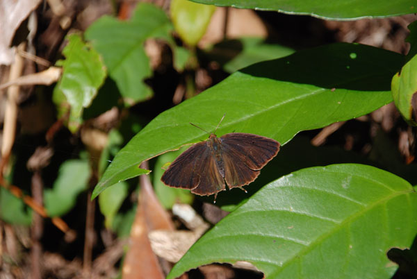 c0049095_2113650.jpg