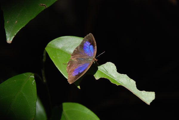 c0049095_2114848.jpg