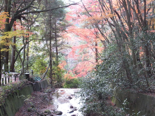 岩屋堂の紅葉_a0271502_1555352.jpg