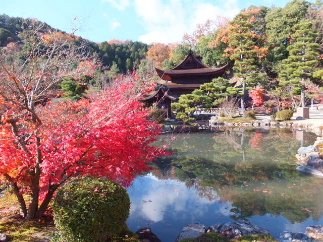 永保寺の紅葉_a0271502_1801746.jpg