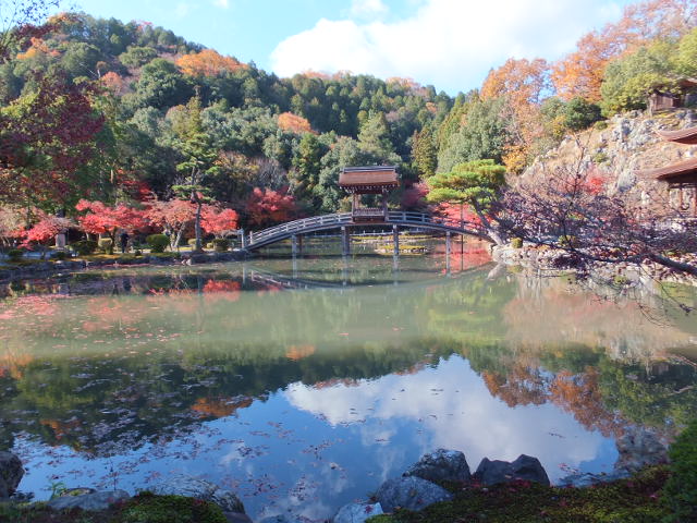 永保寺の紅葉_a0271502_18243758.jpg