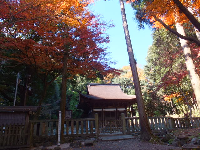 永保寺の紅葉_a0271502_18334712.jpg