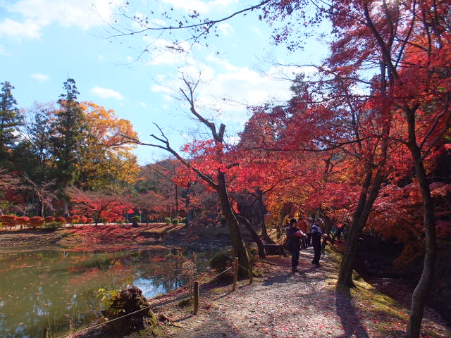 a0271502_2116553.jpg