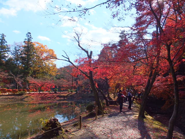 永保寺の紅葉_a0271502_2116553.jpg