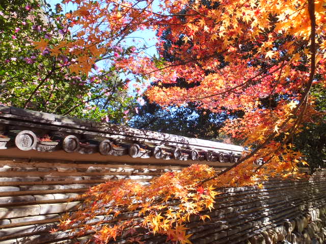 永保寺の紅葉_a0271502_21245588.jpg