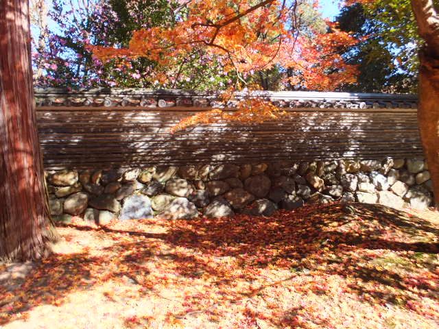 永保寺の紅葉_a0271502_21252682.jpg