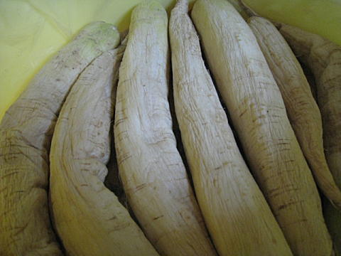 d0046702_12163212.jpg
