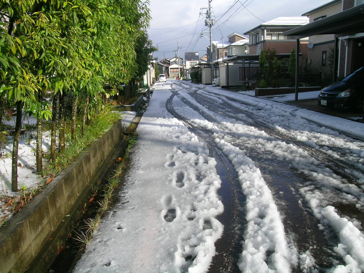 a0203003_2035452.jpg