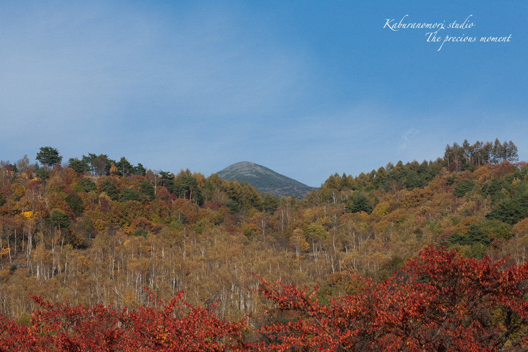 錦の富士見高原_c0137403_17204698.jpg