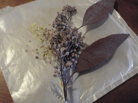 f0064203_9501787.jpg