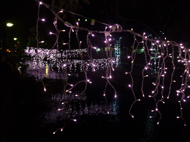 f0197703_1217076.jpg