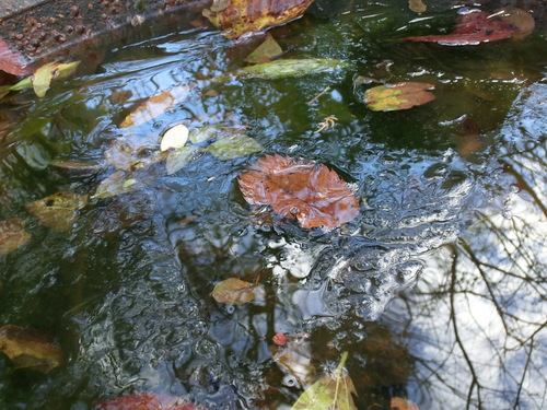 c0156104_2152629.jpg