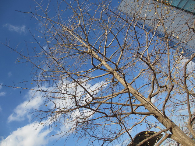 c0212604_1565216.jpg