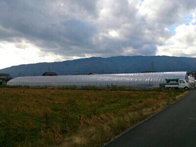 e0252905_1323038.jpg