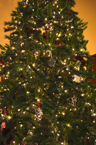 クリスマスツリーお譲りします ローズ家の台所 クリスマスツリーお譲りします ローズ家の台所