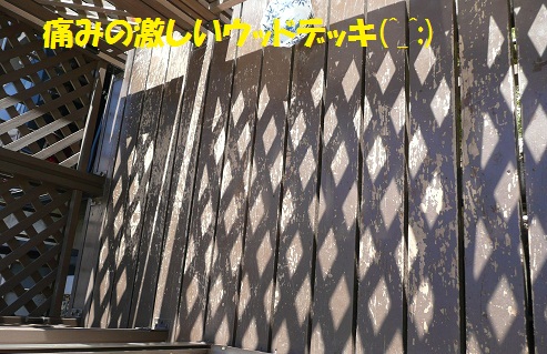 f0121712_6353684.jpg