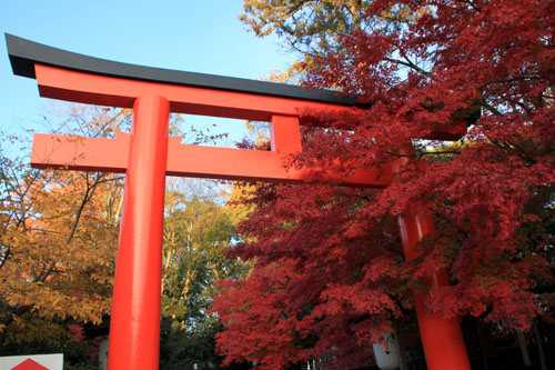 下鴨神社　13紅葉だより61_e0048413_178439.jpg