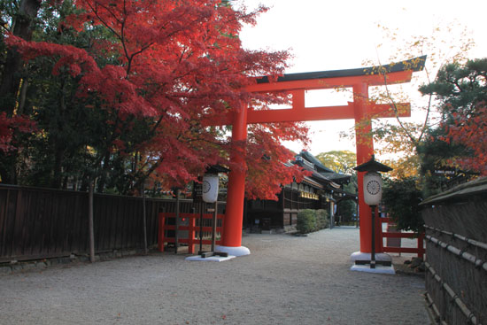 下鴨神社　13紅葉だより61_e0048413_1785523.jpg