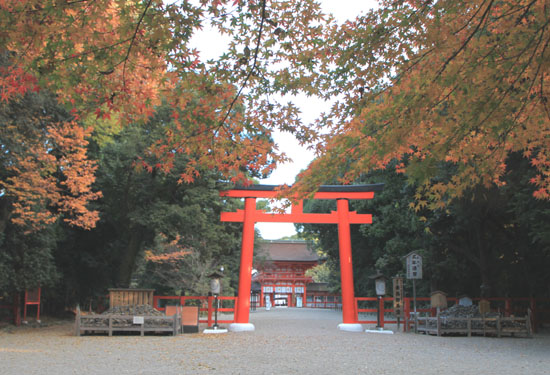 下鴨神社　13紅葉だより61_e0048413_178672.jpg