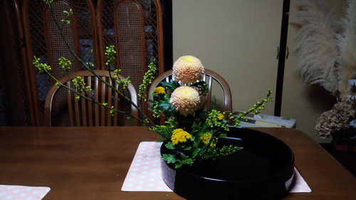右盛体_f0226713_19566.jpg
