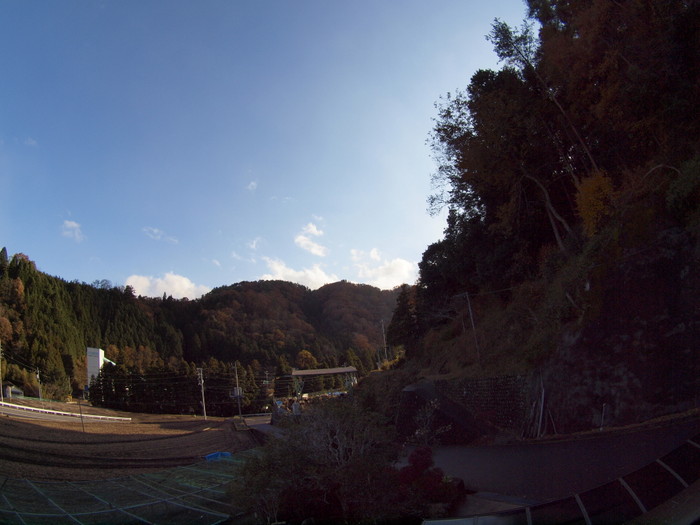 午後晴れ_c0116915_010865.jpg